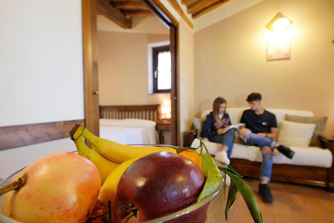 Podere San Giuseppe Σαν Βιντσέντσο Εξωτερικό φωτογραφία