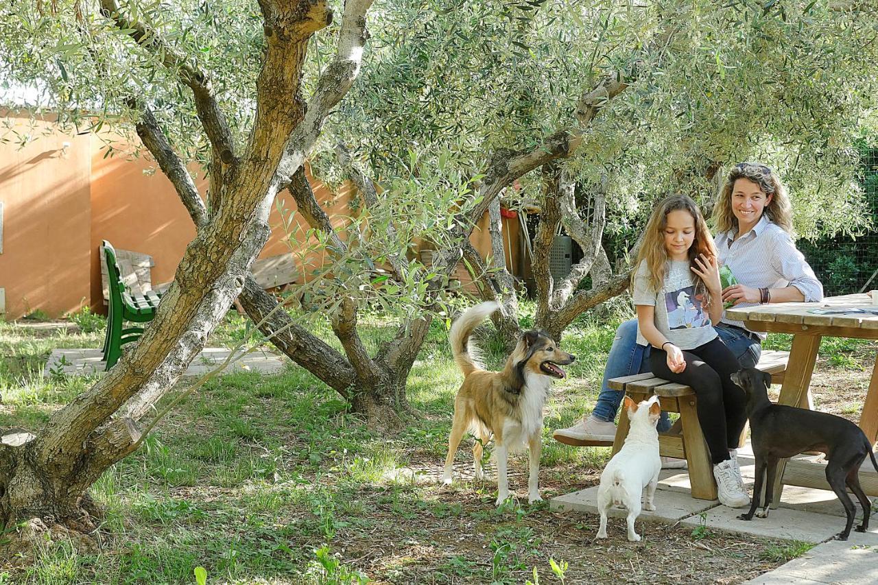 Podere San Giuseppe Σαν Βιντσέντσο Εξωτερικό φωτογραφία