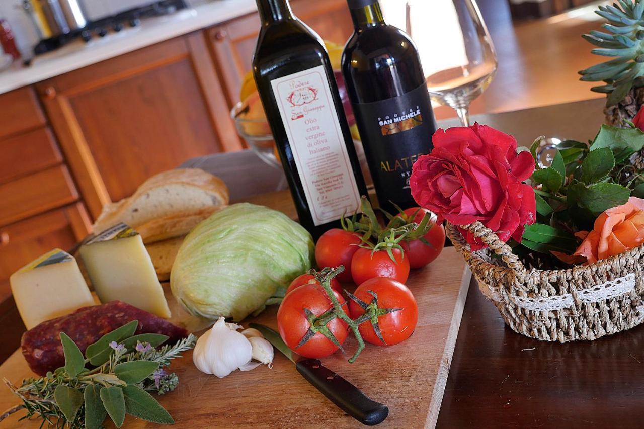 Podere San Giuseppe Σαν Βιντσέντσο Εξωτερικό φωτογραφία