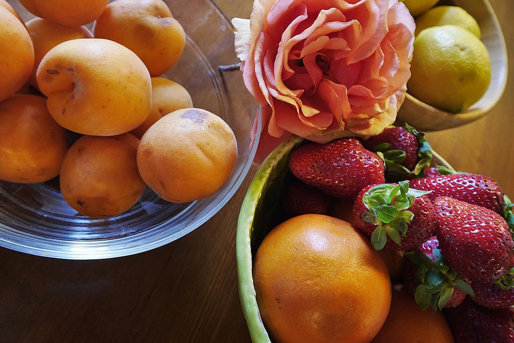 Podere San Giuseppe Σαν Βιντσέντσο Εξωτερικό φωτογραφία