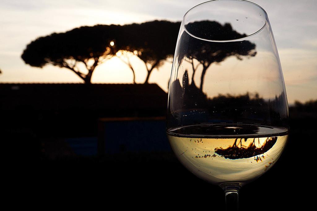 Podere San Giuseppe Σαν Βιντσέντσο Εξωτερικό φωτογραφία
