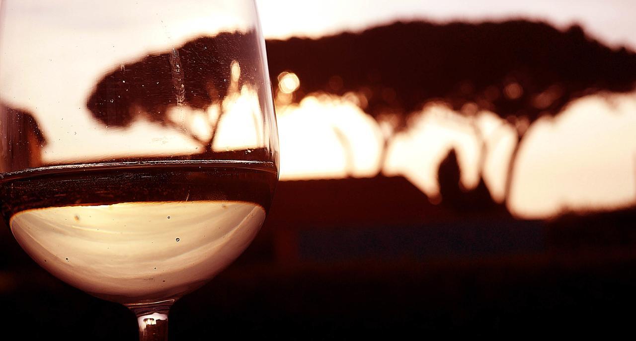 Podere San Giuseppe Σαν Βιντσέντσο Εξωτερικό φωτογραφία
